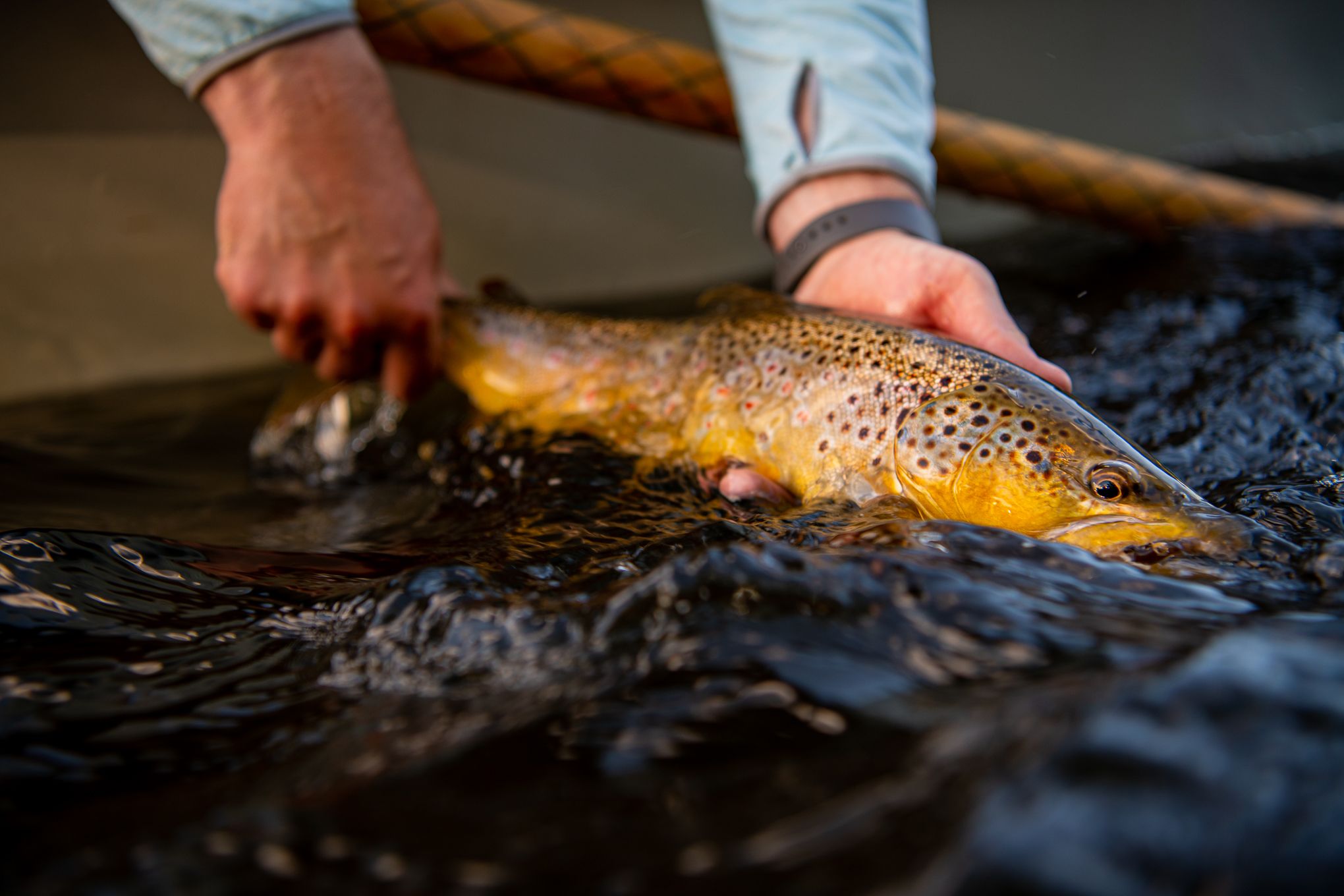 Southwest Montana's Premier Destination Fly Fishing Experience