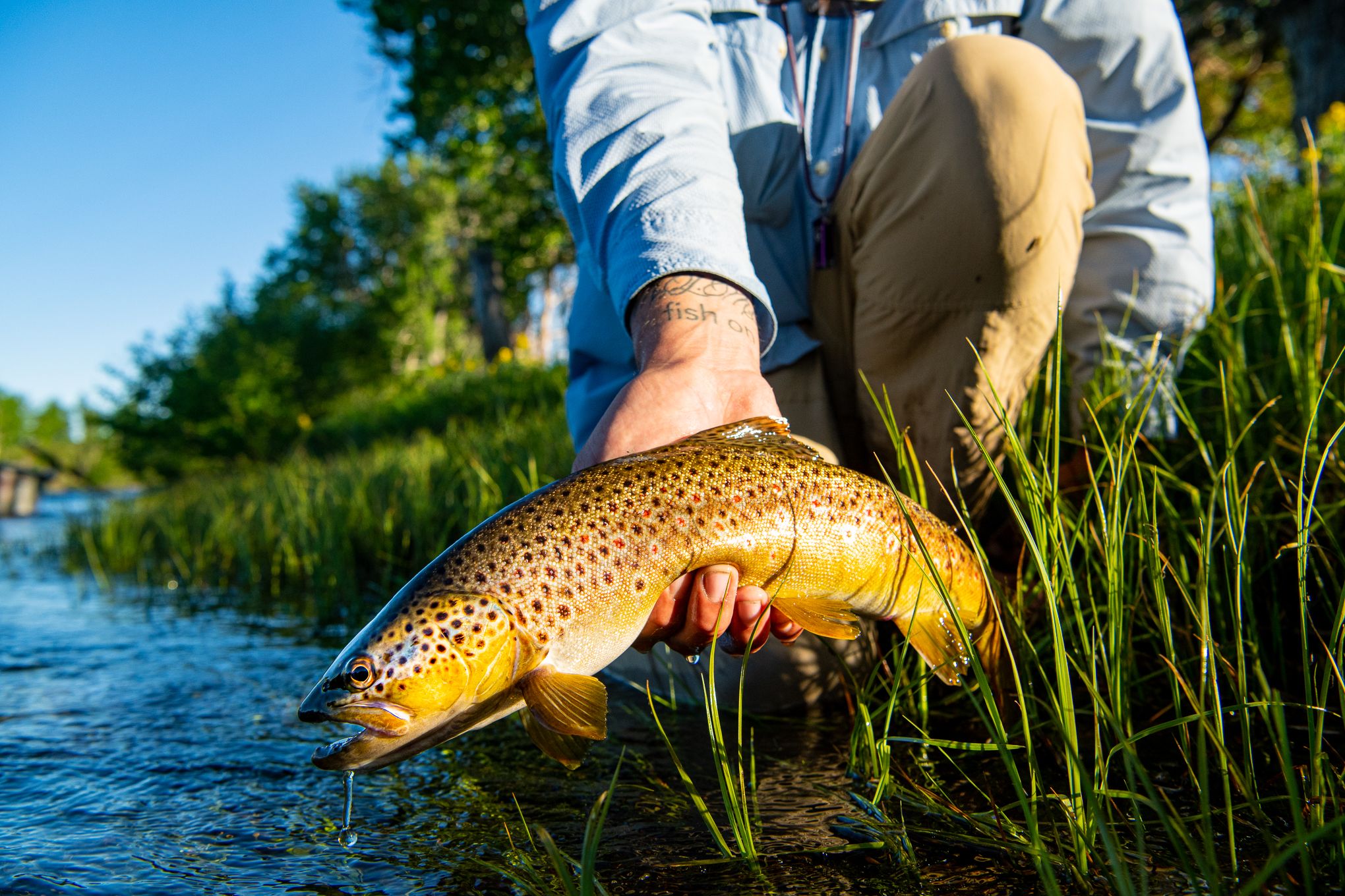 Orvis Wide Mouth Hand Net - Sunrise Fly Shop