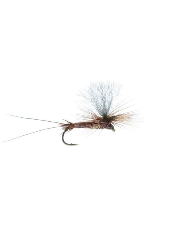 Bear's Hi-Vis Brown Drake