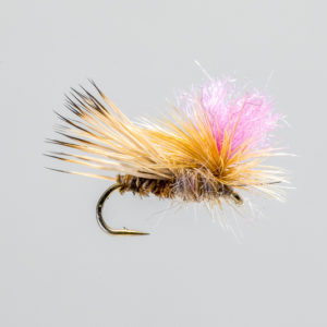 Bloom's Caddis Tan