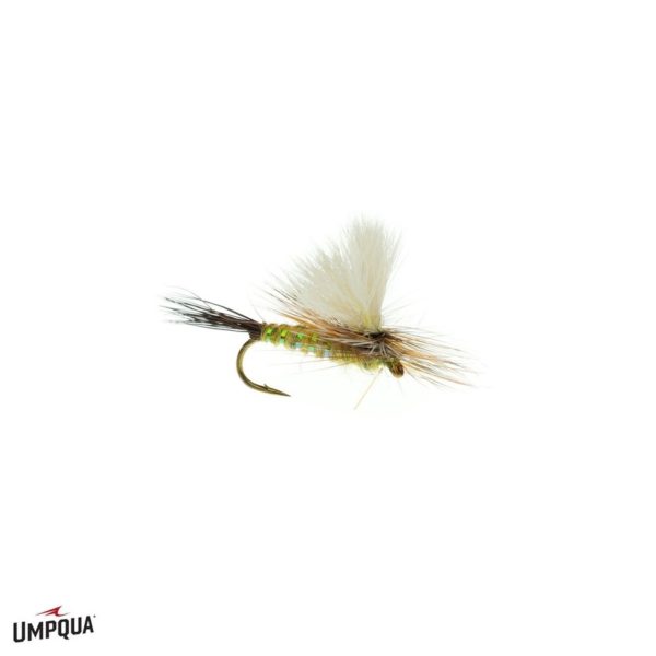 Dennis' Para-Wulff Olive