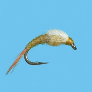 CDC Case PMD Emerger