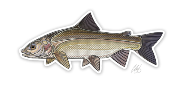 Underwood Whitefish Sticker