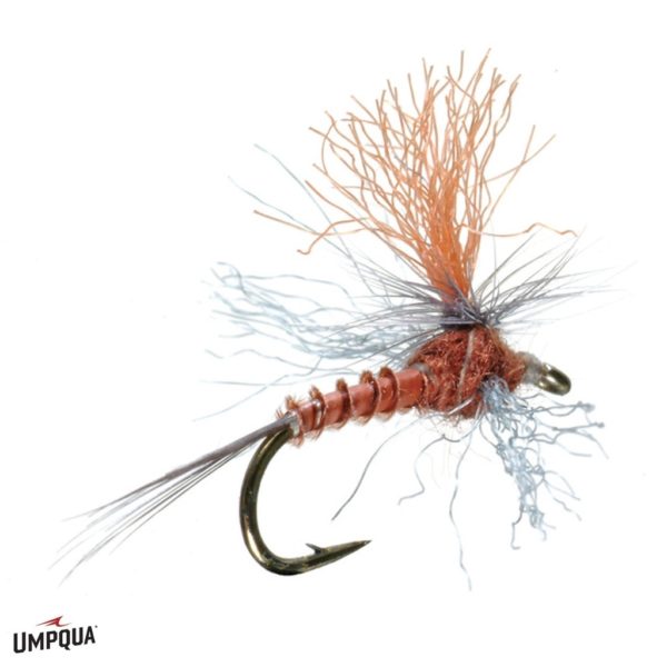 Profile Spinner Rusty