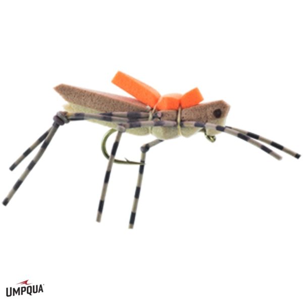 Morrish Hopper - Image 2