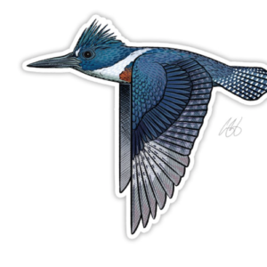 Underwood Kingfisher