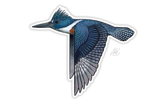 Underwood Kingfisher