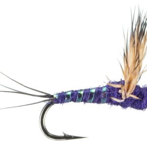Comparadun Purple