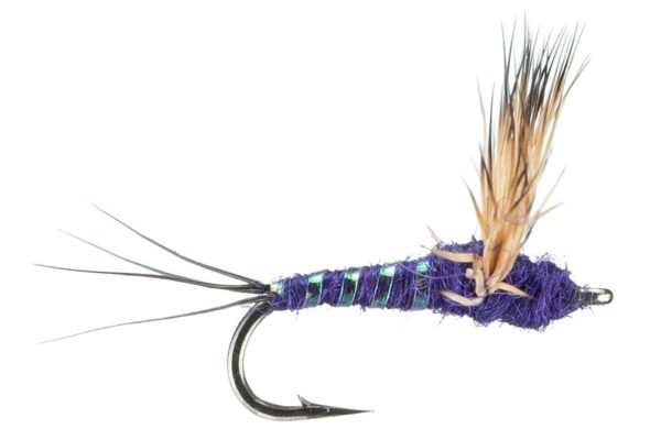 Comparadun Purple