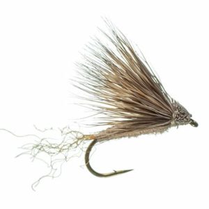X Caddis