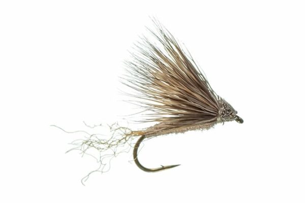 X Caddis